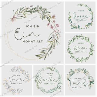 Meilensteinkarten von Naturmacher für Babys erstes Jahr.  Sechs Karten mit floralen Kränzen und den Aufschriften "Ich bin ...