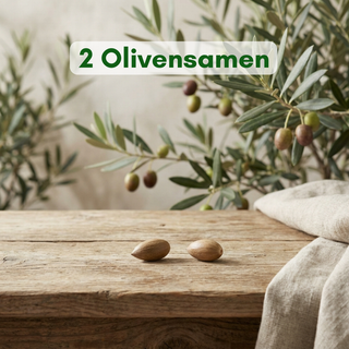 2 Olivenbaum-Samen – Mediterranes Grün für dein Zuhause