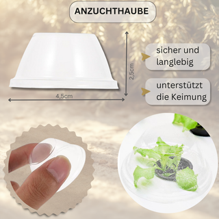 Anzuchthaube (4,5x2,5cm) für Sternzeichen Krebs Blumentopf, unterstützt Keimung, sicher & langlebig.