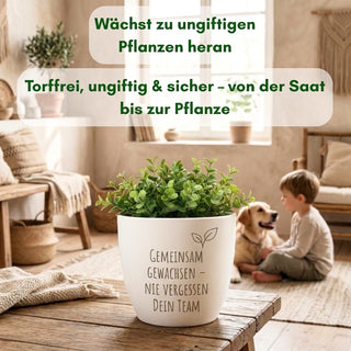 Torffreie Bio-Anzuchterde – nachhaltig, ungiftig und sicher