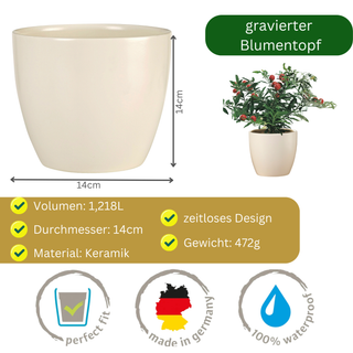 Beiger Keramik-Blumentopf (14cm), graviert mit Löwe (separat erhältlich), von Natur Macher. Ideal für Pflanzen. Made in Ge...