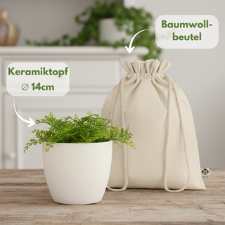 Weißer Blumentopf mit kleinem Bäumchen, graviert mit Löwe (nicht abgebildet). Perfektes Geschenk: abgestimmte Komponenten,...