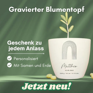 Personalisierter Blumentopf mit Regenbogenmotiv, Name "Mattheo" und Geburtsdaten, inkl. Samen und Erde.