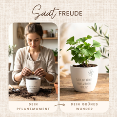 Komplettset