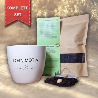 Ginkgo Anzucht-Set mit weißem Blumentopf "DEIN MOTIV", Ginkgosamen, Erde und Anleitung. Geschenkidee Sternzeichen Krebs.