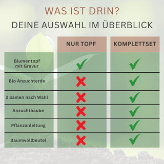 Übersicht: Inhalt "Hallo Schule" Blumentopf-Geschenk. Nur Topf: Gravierter Topf. Komplettset: Topf, Erde, Samen, Haube, An...