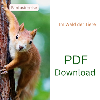 Eichhörnchen im Wald. PDF Download: Naturmacher Traumreise für Kinder "Im Wald der Tiere".