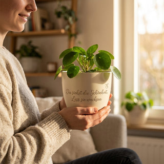 Personalisierter Blumentopf mit Gravur — Geschenk für Fotografin Geburtstag — im Wohnambiente
