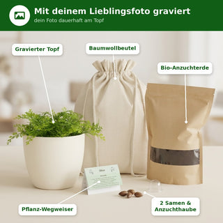 Dot Art Blumentopf personalisiert – Gravur deines Lieblingsfotos