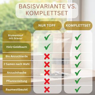 Geldbaum – Geldgeschenk zur Hochzeit, graviert & zum Einpflanzen
