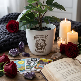 Dark Romance Bookie-Blumentopf – Für Book Lover, Leseecke & Bücherregal, Cozy & Mystisch