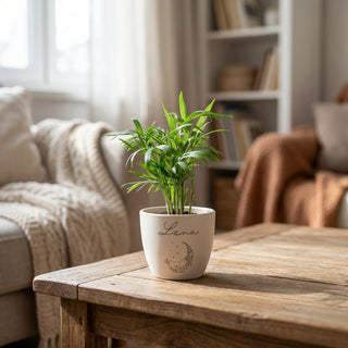 Mini Palm - personalisierter Blumentopf zur Geburt