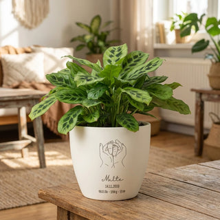 Geschenk zur Geburt Baby -  Blumentopf graviert mit Geburtsdaten