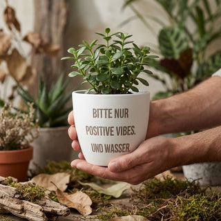 Mini Solo – personalisiertes Geschenk im Mini-Format